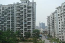 广州南沙碧桂园